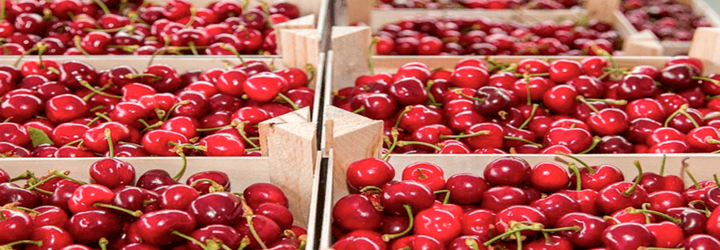 Siluetas de grúas y contenedores en terminal chileno durante la campaña de cerezas
