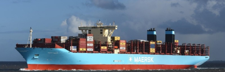 Buque portacontenedores y grúas pórtico en operación