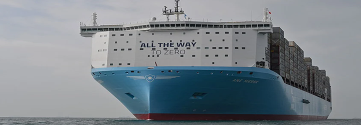 Portacontenedores de gran porte LNG dual-fuel en terminal asiática