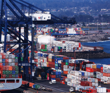 Fiscalización de camiones en accesos portuarios de San Antonio durante operativo de control logístico